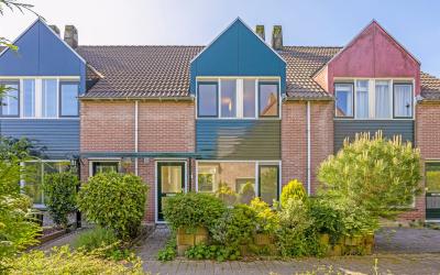 Ridderspoor 11