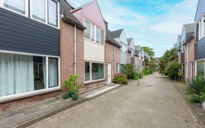 Ridderspoor 39