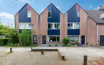 Ridderspoor 42