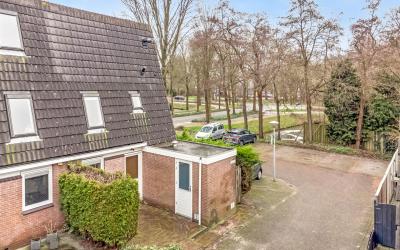 Ridderspoor 56