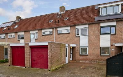 Ridderspoor 65