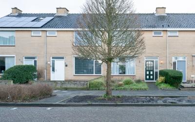 Jan van Sco. 5