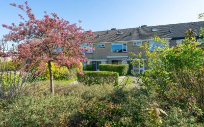Bilderdijkstraat 18