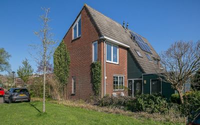 Briljant 51