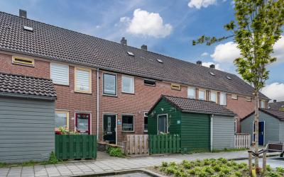 Gouwe 8