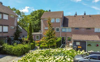 Drecht 26