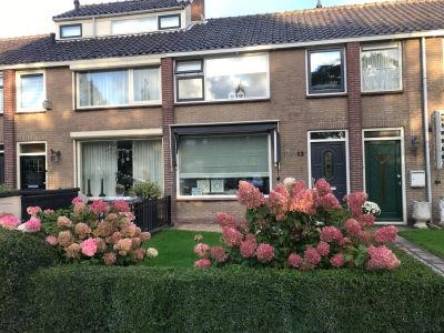 Bosweg 12
