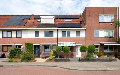 Zeearend 4