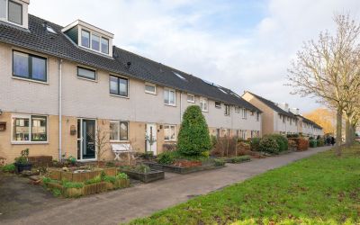 Gele Varaan 5