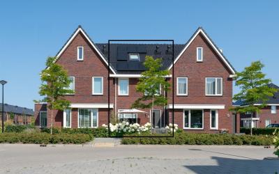 Purperreiger 3
