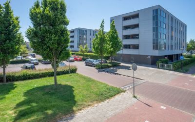 Schaapskuil. 4