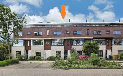 Burgplantso. 5