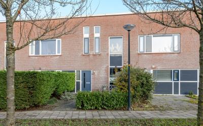 Heintje Dav. 10