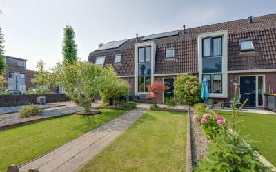 Heintje Dav. 3