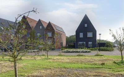 Duizendblad. 12
