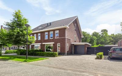 Zwanenbloem. 25