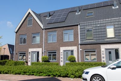 Nachtegaals. 20