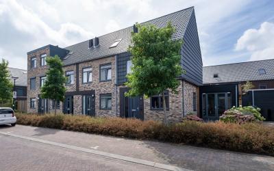 Nachtegaals. 6