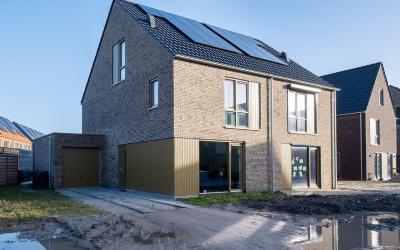 Huiszwaluws. 14