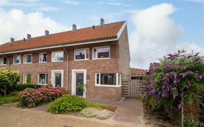 Damvecht 9