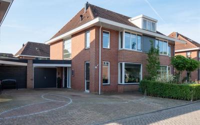 Roerdomp 30