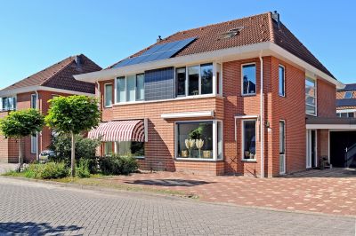 Roerdomp 36