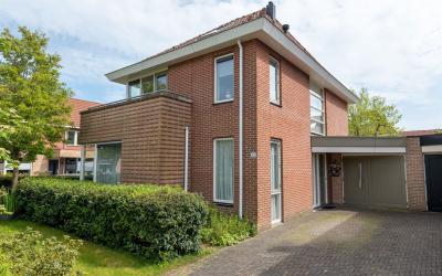 Roerdomp 52