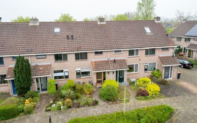 Meibloem 38