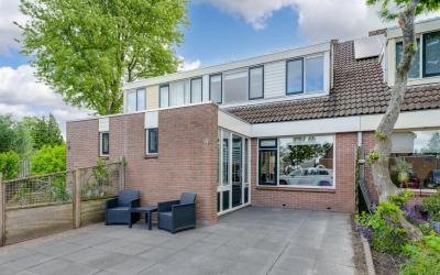 Boterbloem 11