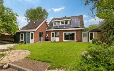 Korenbloem 12