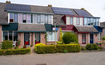 Dotterbloem 30
