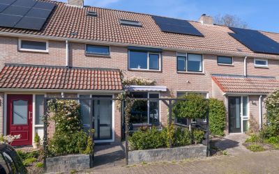 Sleutelbloem 13