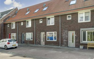 Boogoort 50