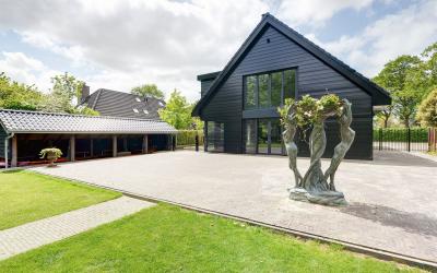 Scholekster 2