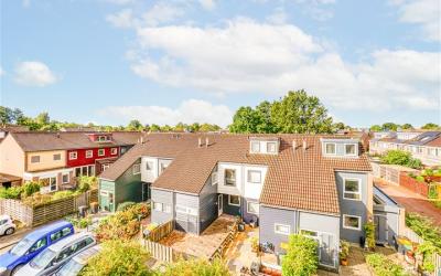 Goudzeelt 40