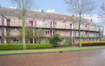 Bosgroet 51