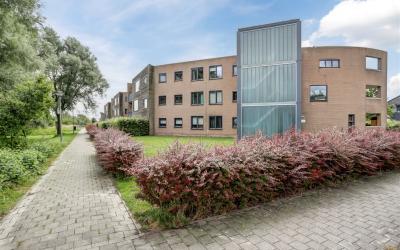 Tijmensgroet 5
