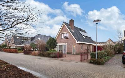 Kooigroet 7