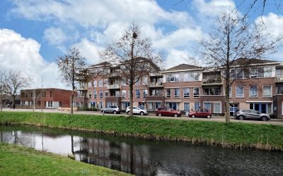 Grasakker 50