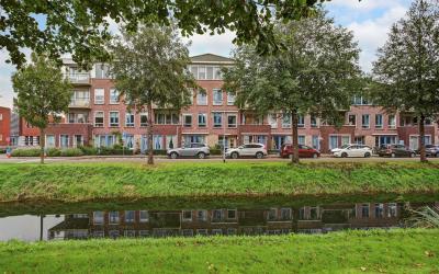 Grasakker 54