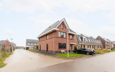 Boterbloem 1