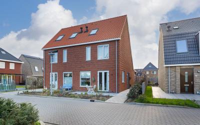 Boterbloem 39