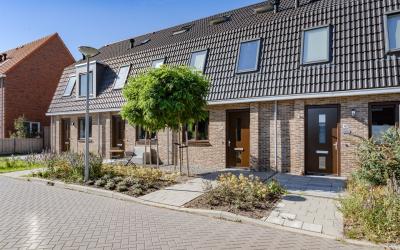 Boterbloem 45