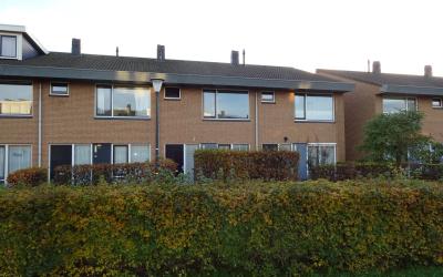 de Werf 20