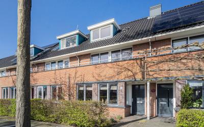 het Zwin 4