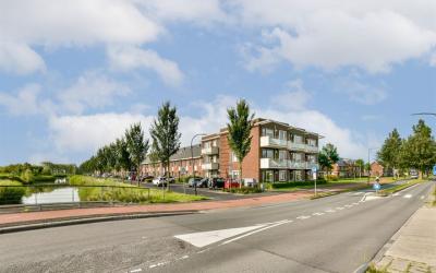 Meerval 131