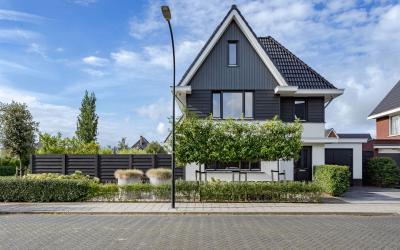 Meerval 38