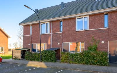 Meerval 56