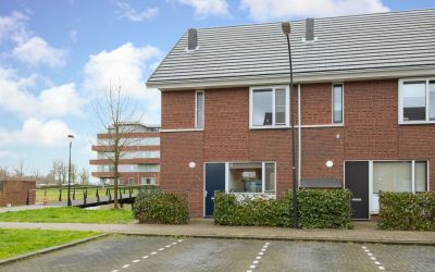 Meerval 58