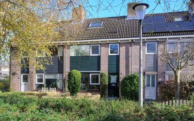 Groenling 3